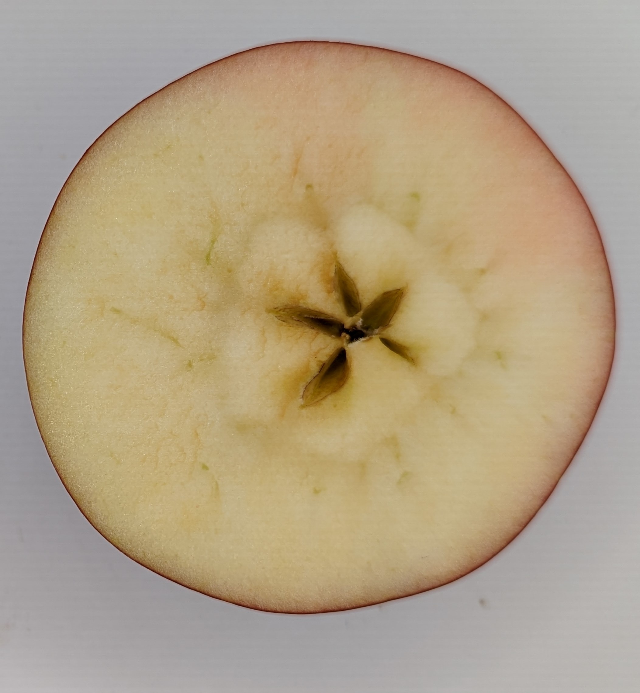 apple sliced