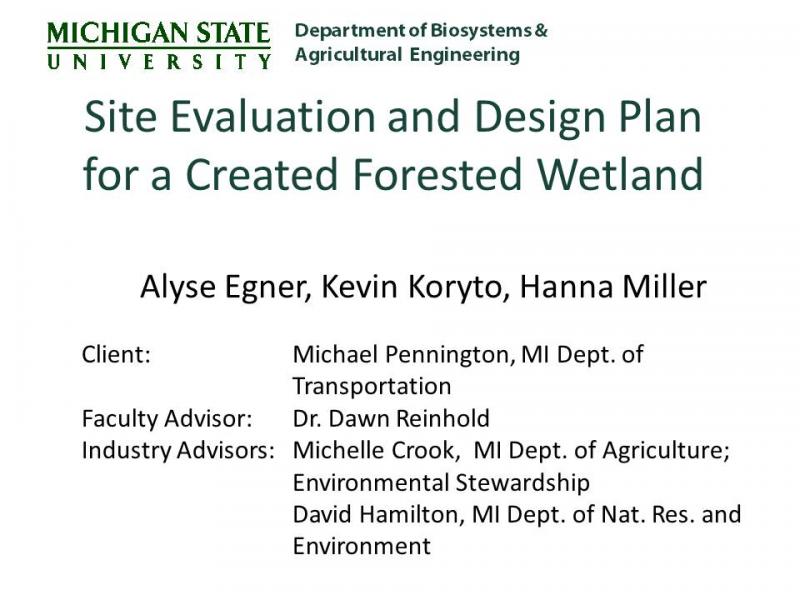 2011 Forested Wetlands Senior Design Team