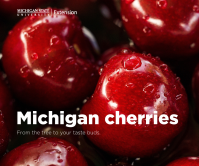Cherries