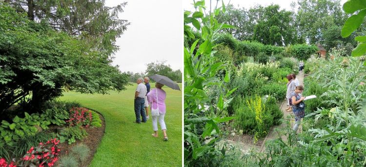 Buffet versus buffer garden design