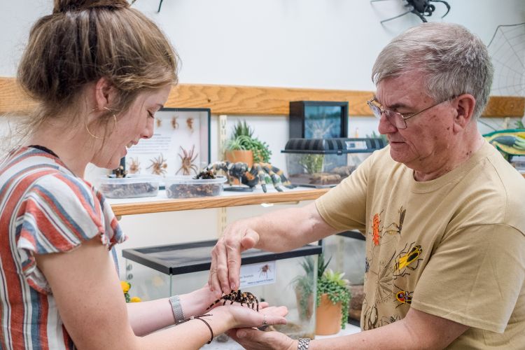 Gary Parsons teaching a student how to hold a tarantula in the MSU Bug House.