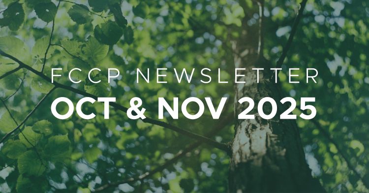 Picture of a tree with branches with 