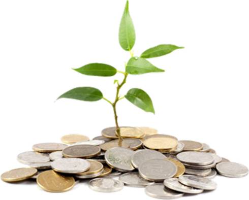Piicture of a plant growing in the middle of a pile of coins.