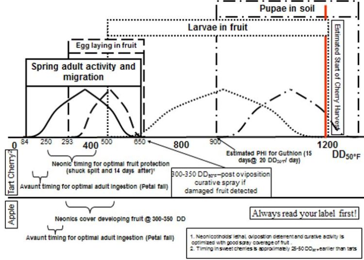 Plum curculio life stage control timing chart