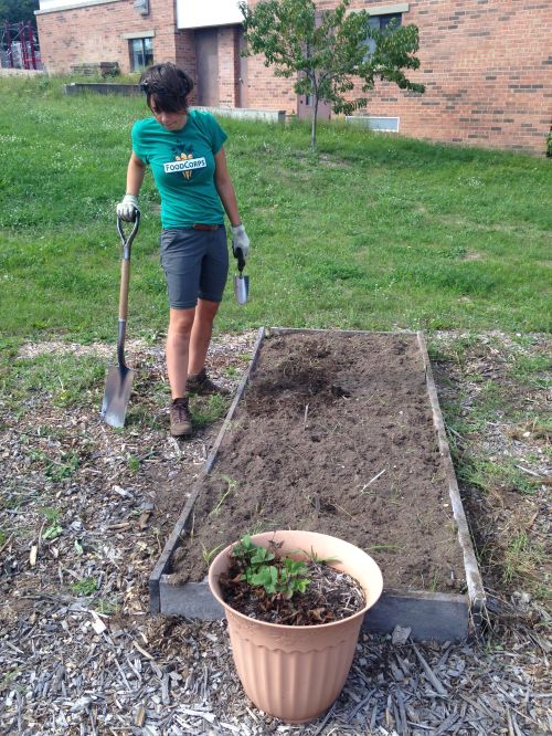 Julia cleaning out garden beds during the National Day of Service.