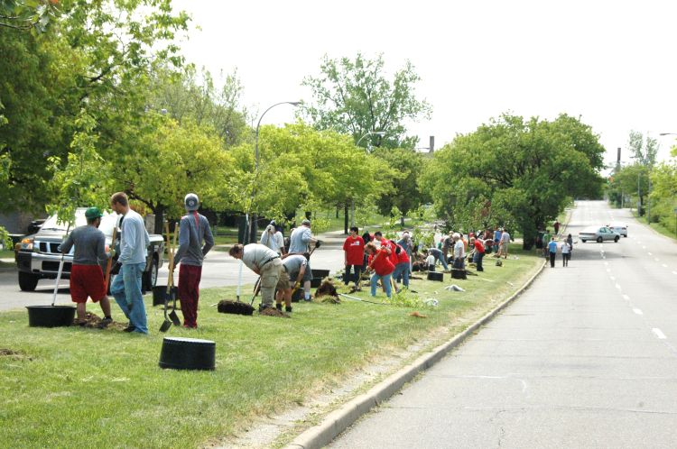 Bert Cregg and his team planting trees in Detroit.