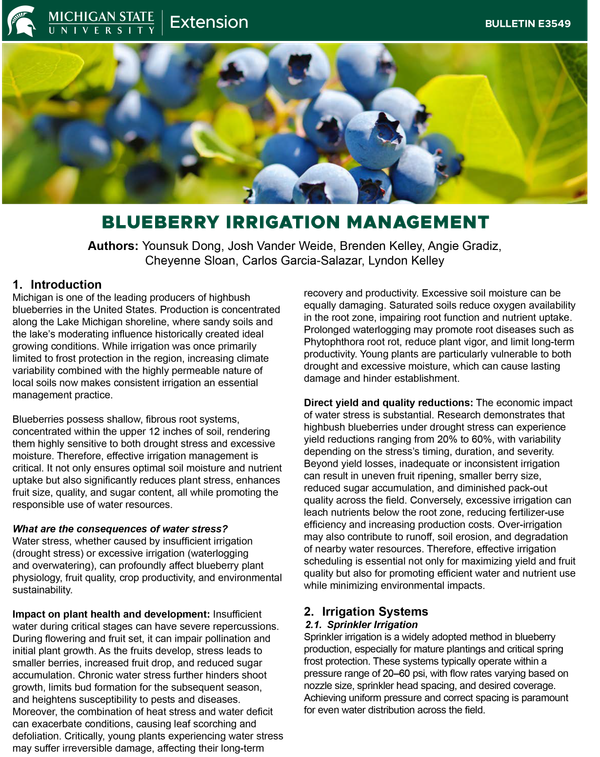 Decorative image.
