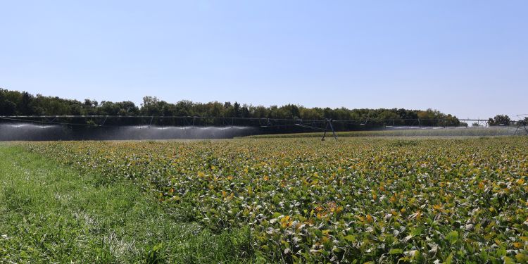 A variable rate irrigation system spraying precise water amounts across a field of crops.