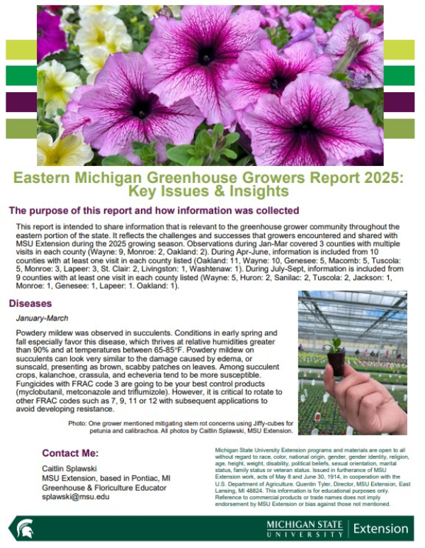 A photo of the first page of the report.