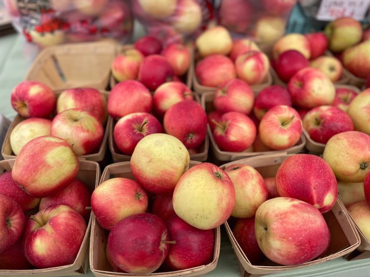 Apples in a basket at a farmers market