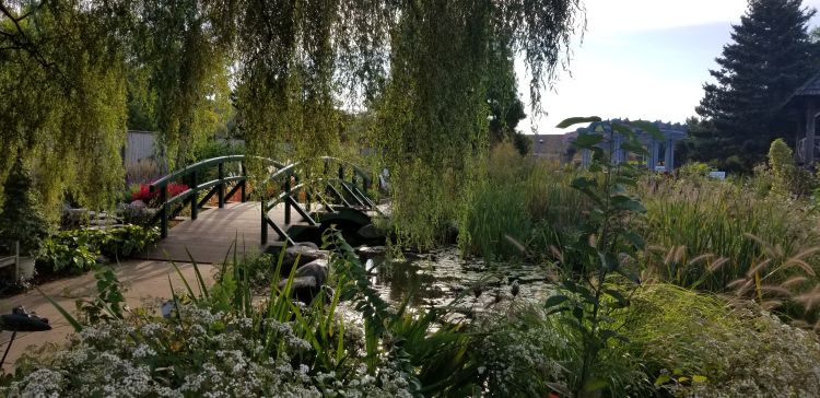 Monet Bridge at the MSU 4-H Children's Garden.