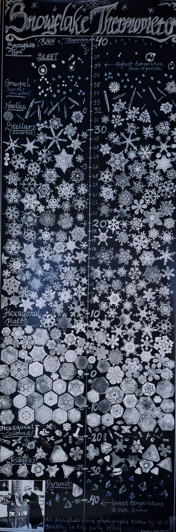 A black piece of paper with dozens of different snowflake sizes.