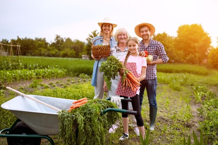 Family standing in a field with a wheelbarrow full of carrots having happily conserved their farmland, with golden sunshine in the background.