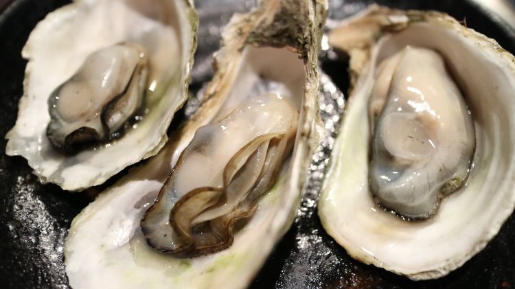 Photo of oysters.