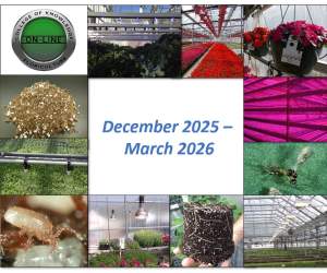 Enhance your skills with four greenhouse online courses