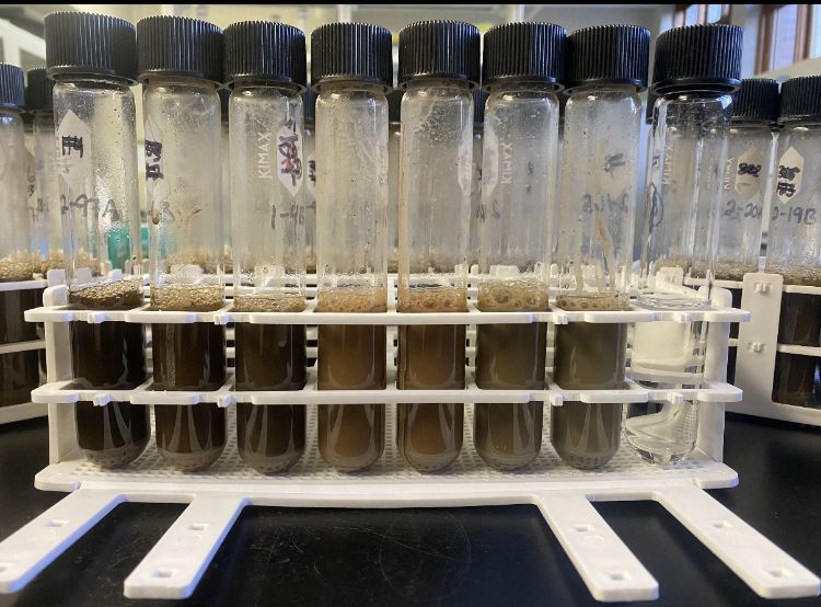 A rack of test tubes containing different colored soils