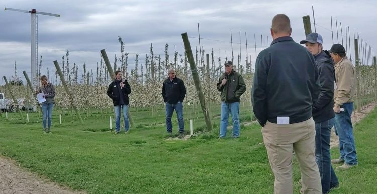 People standing in apple orchard.