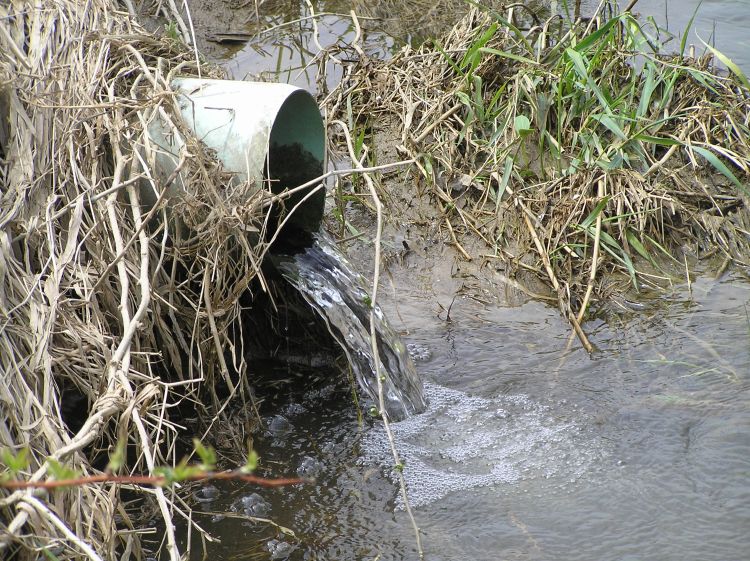 About one-third of Michigan’s most productive crop land is tile drained. Tile drains remove excess water.