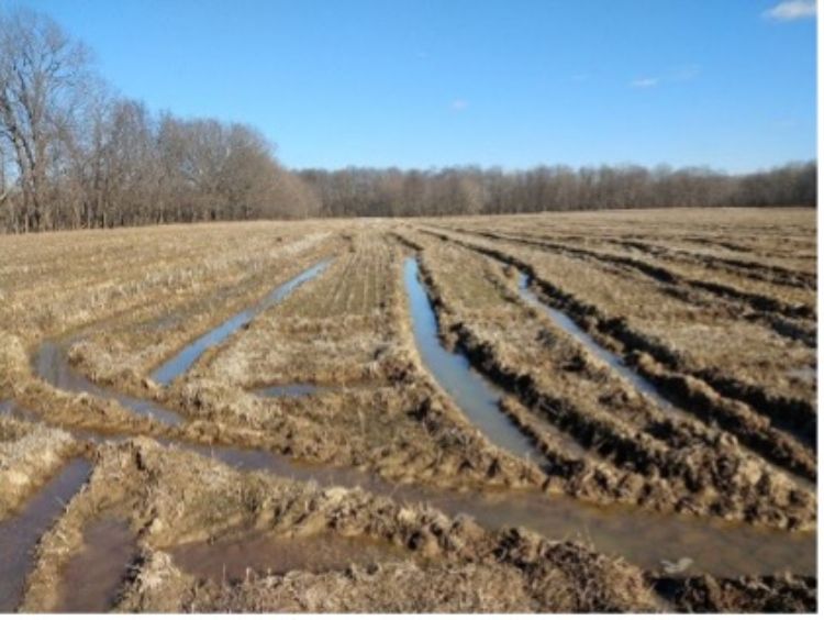 Field with deep harvest ruts