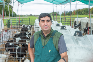 Enhancing dairy farm performance through a focus on calf health