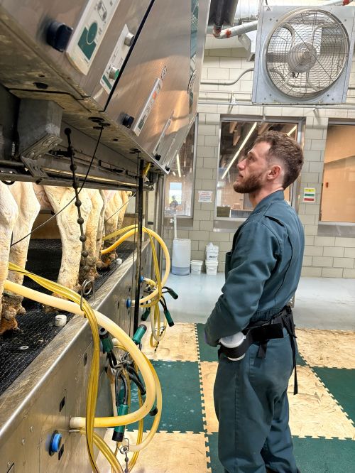 person with beard standing in front of a milking machine with cows standing in it
