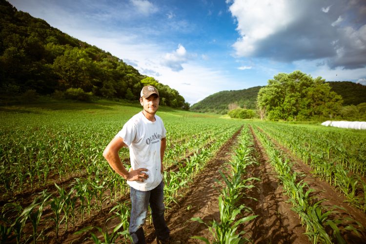 A man standing in a field