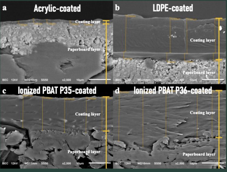 An image showing the coating of the paper plates