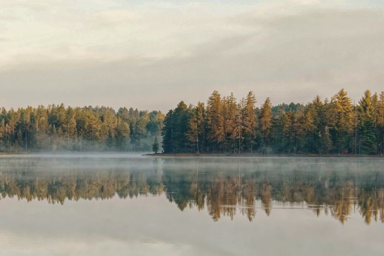 A lake with trees lined in the background with a partly cloudy sky.