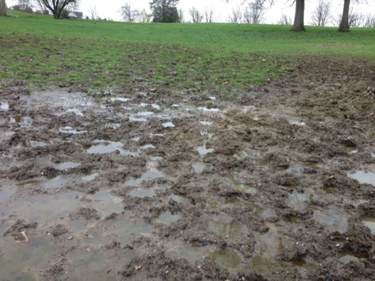 Water accumulation and mud occurance from a downhill slope close to a gateway. Photo credit: Tom Guthrie, MSU Extension 