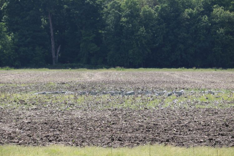 Standing water still common in many fields in the Central Regions of Michigan