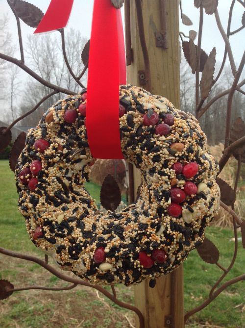 A birdwreath can supply hours of entertainment for you and your family.