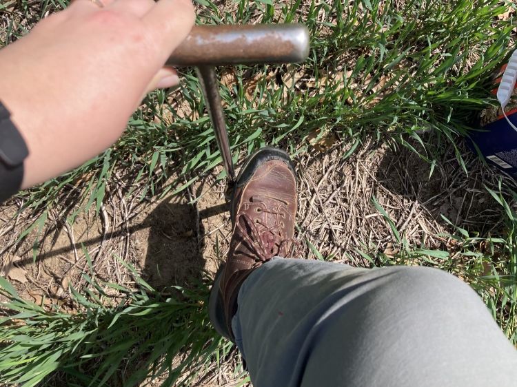 A person presses a soil probe into the ground with their boot while collecting a soil sample in a field.