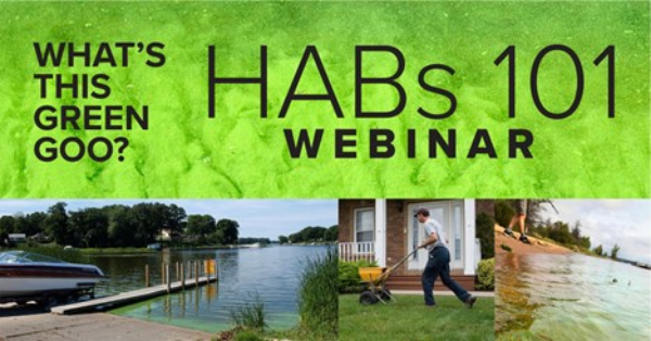 Decorative item - What's this Green Goo? HABs 101 Webinar