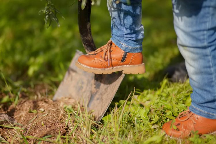 Heavy gardening activities can strengthen your body.