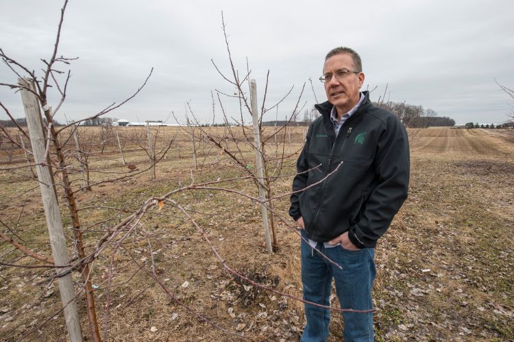 George Sundin, MSU plant pathologist and Extension specialist