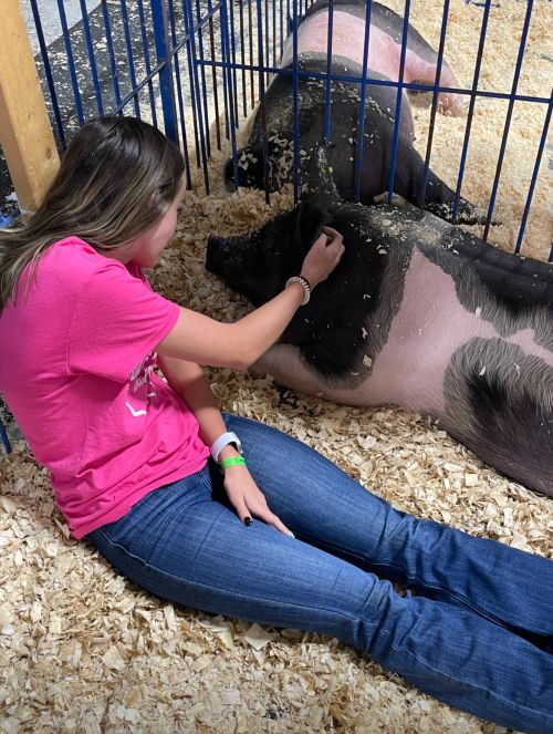 A girl sitting with a black and white pig.