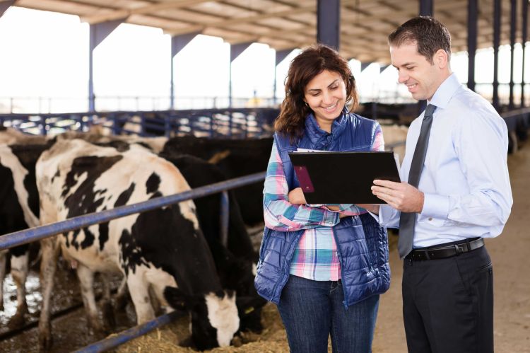 Two people reviewing some paperwork.