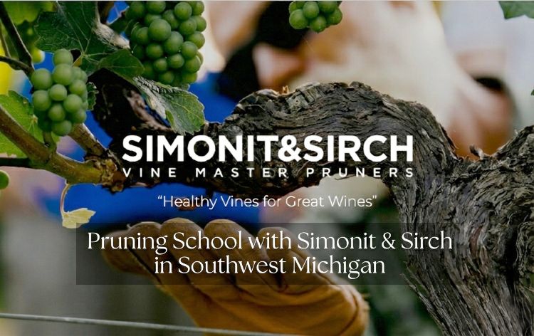 For decorative purposes.