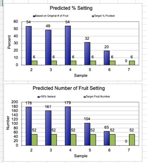 Fruitset model output