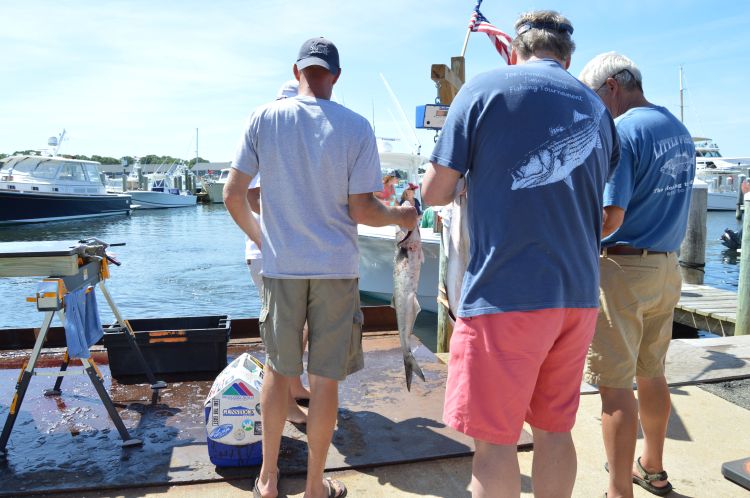 Group of individuals standing on a dock discussing a fish they caught.