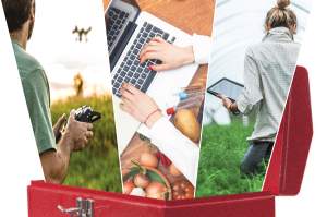 MSU's IMPACTS program: Where computer sciences and plant sciences meet
