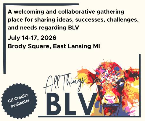 All things BLC flier
