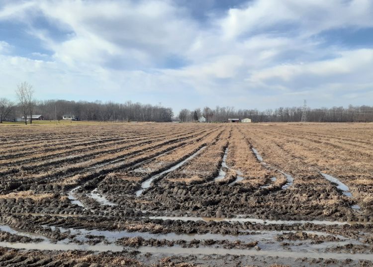 Severe ruts in in a field.