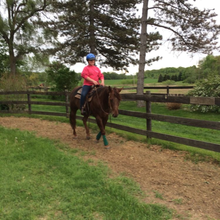 Start now to prepare horses for warm weather activity. Photo Credit: Karen L. Waite.