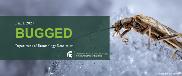 Bugged Fall 2025 banner showing a winter stonefly