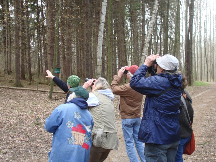 Kara Haas points out a bird in Kellogg Bird Sanctuary forest. All photos: Kellogg Bird Sanctuary