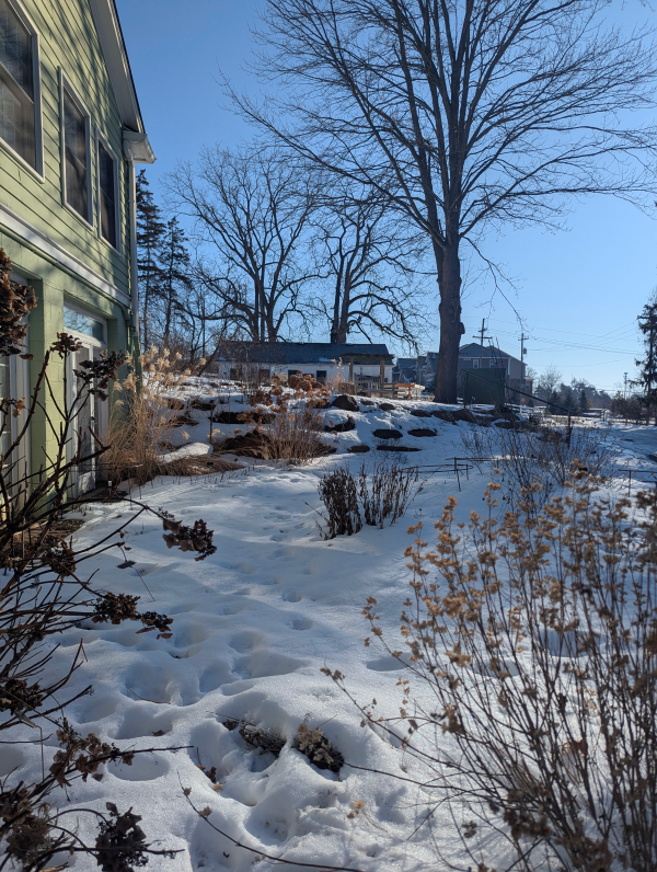 Snow covering the gardens in front of the lower offices.