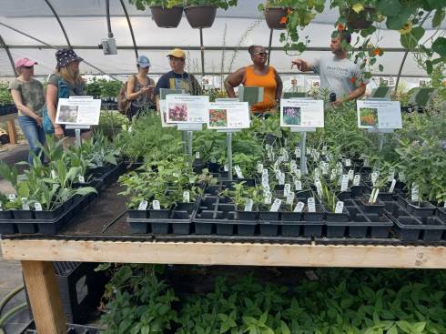 Plant nursery with farmer leading a tour.