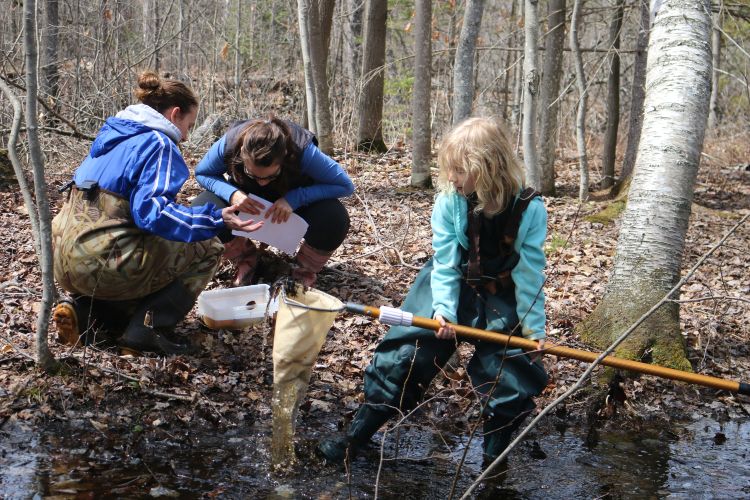 Collecting data at the vernal pool, Newaygo State Park. Photo by Tracy D’Augustino, MSU Extension.