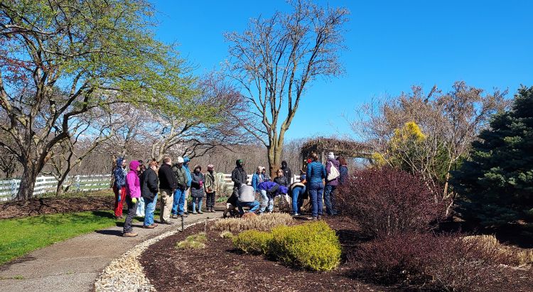 A group of adults dressed in jackets and hats gathers along a paved garden path for an outdoor pruning workshop. Several participants kneel and lean over a landscaped bed while an instructor demonstrates techniques on dormant shrubs. Leafless trees, trimmed bushes, a white fence, and a wooden arbor frame the sunny early-spring garden setting under a bright blue sky.